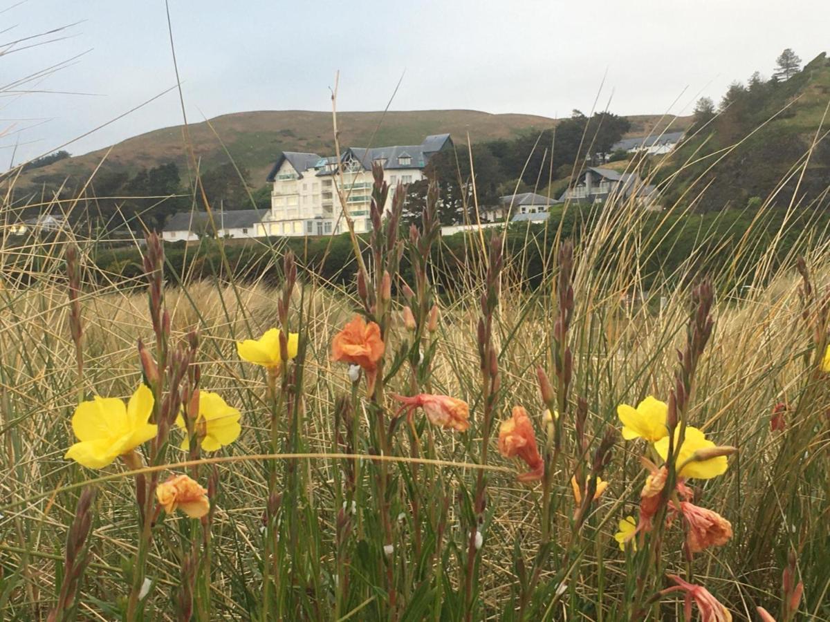Beautiful Aberdovey Seafront Apartment 2 阿伯蒂费 外观 照片